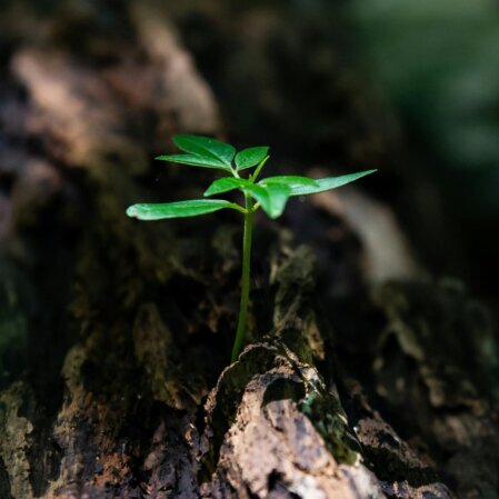 CNC Fertigung und Qualitätssicherung Produktionstechnik Gasbichler.